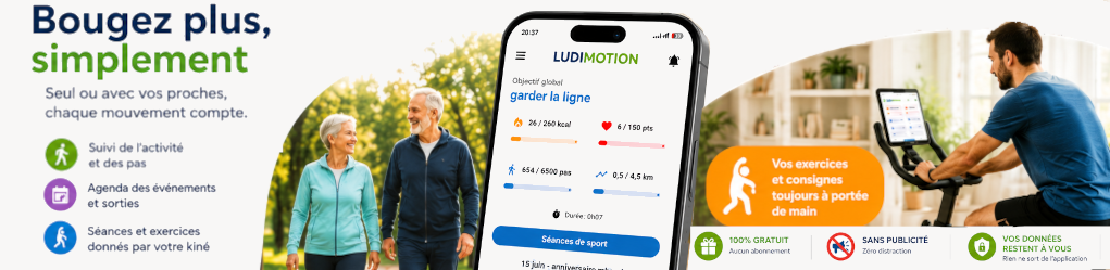 Ludimotion